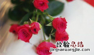 12朵玫瑰花语是什么 12朵玫瑰花语代表什么