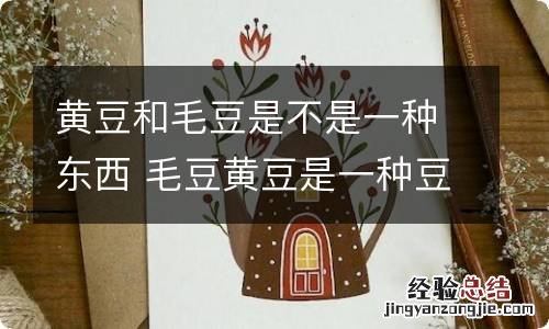 黄豆和毛豆是不是一种东西 毛豆黄豆是一种豆子吗