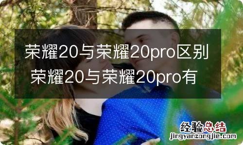 荣耀20与荣耀20pro区别 荣耀20与荣耀20pro有什么区别