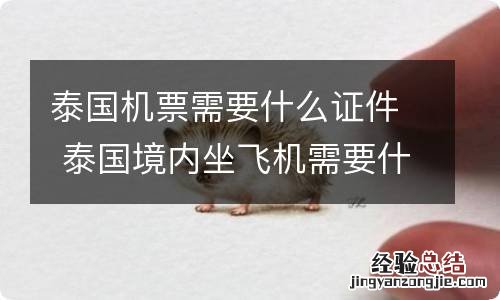 泰国机票需要什么证件 泰国境内坐飞机需要什么证件