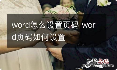 word怎么设置页码 word页码如何设置