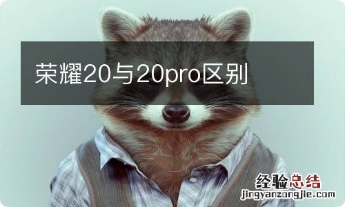 荣耀20与20pro区别
