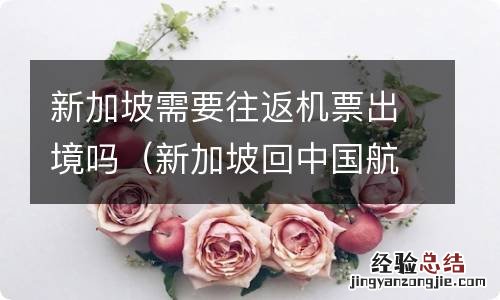 新加坡回中国航班在哪里入境 新加坡需要往返机票出境吗