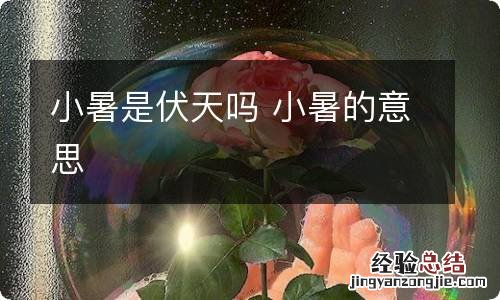 小暑是伏天吗 小暑的意思