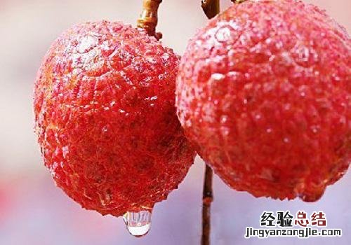 荔枝宝宝可以吃吗