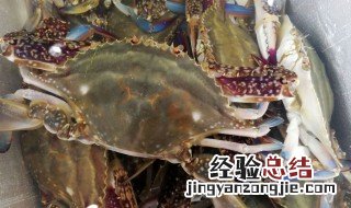 梭子蟹不能和什么一起吃 哪些食物不能和梭子蟹同吃