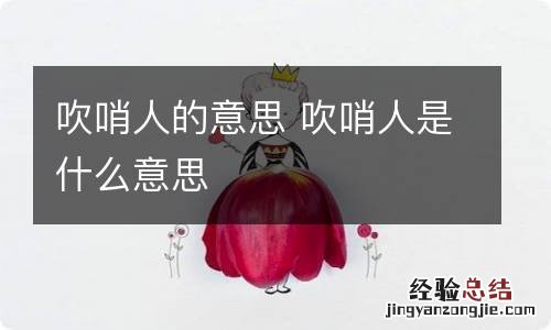 吹哨人的意思 吹哨人是什么意思