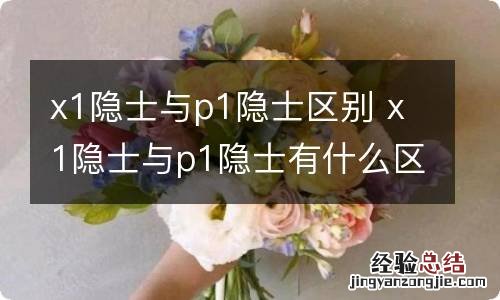 x1隐士与p1隐士区别 x1隐士与p1隐士有什么区别