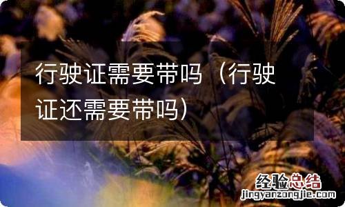 行驶证还需要带吗 行驶证需要带吗