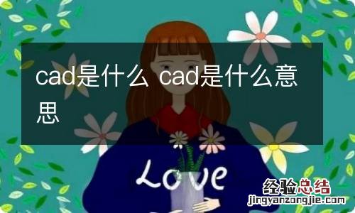 cad是什么 cad是什么意思