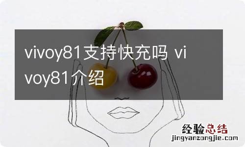 vivoy81支持快充吗 vivoy81介绍