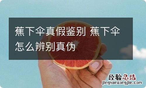 蕉下伞真假鉴别 蕉下伞怎么辨别真伪