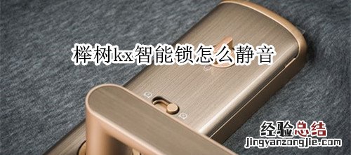 榉树kx智能锁怎么静音