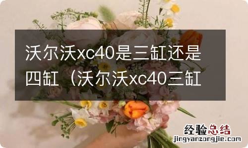 沃尔沃xc40三缸和4缸区别在哪里? 沃尔沃xc40是三缸还是四缸