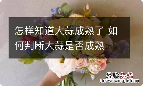 怎样知道大蒜成熟了 如何判断大蒜是否成熟