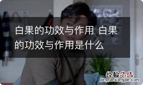 白果的功效与作用 白果的功效与作用是什么