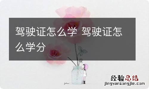 驾驶证怎么学 驾驶证怎么学分