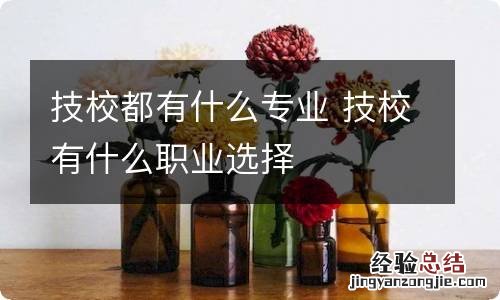 技校都有什么专业 技校有什么职业选择