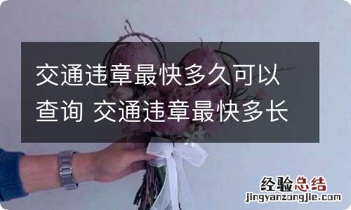 交通违章最快多久可以查询 交通违章最快多长时间能查到