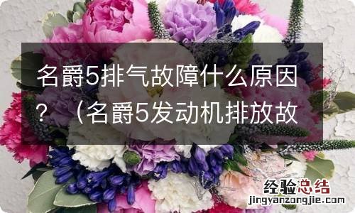 名爵5发动机排放故障 名爵5排气故障什么原因？