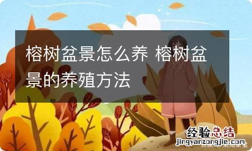 榕树盆景怎么养 榕树盆景的养殖方法