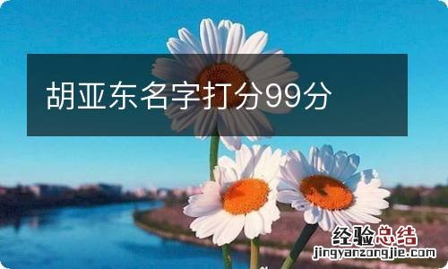 胡亚东名字打分99分