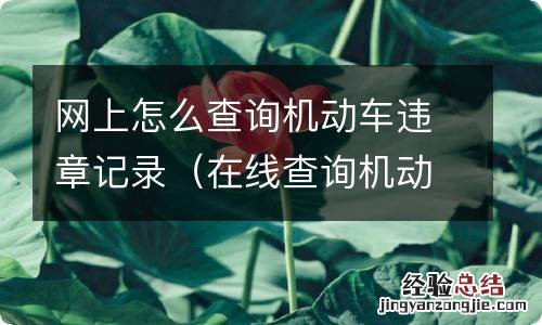 在线查询机动车违章记录 网上怎么查询机动车违章记录