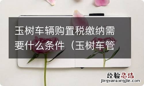 玉树车管所服务电话 玉树车辆购置税缴纳需要什么条件