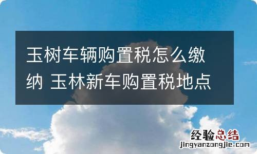 玉树车辆购置税怎么缴纳 玉林新车购置税地点