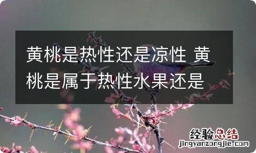 黄桃是热性还是凉性 黄桃是属于热性水果还是凉性水果