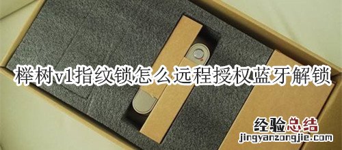 榉树v1指纹锁怎么远程授权蓝牙解锁