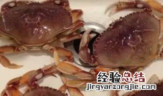 不能吃的螃蟹品种 不能吃的螃蟹品种是什么