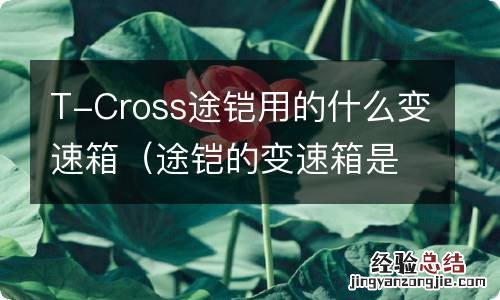 途铠的变速箱是干式还是湿式 T-Cross途铠用的什么变速箱