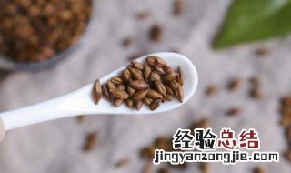 什么地方的大麦茶好 大麦茶什么样