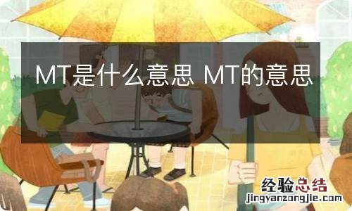 MT是什么意思 MT的意思