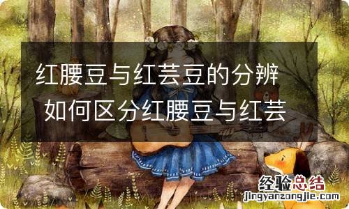 红腰豆与红芸豆的分辨 如何区分红腰豆与红芸豆