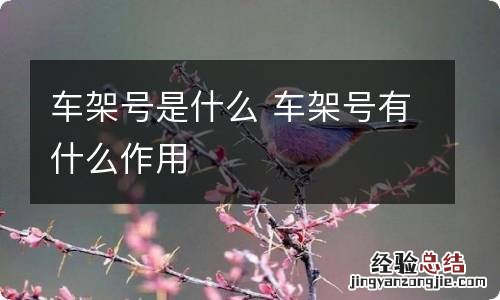 车架号是什么 车架号有什么作用