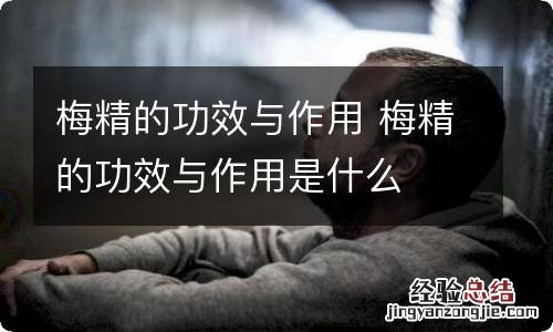 梅精的功效与作用 梅精的功效与作用是什么