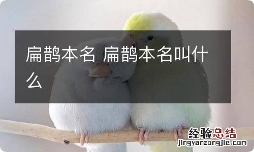 扁鹊本名 扁鹊本名叫什么