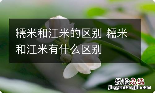 糯米和江米的区别 糯米和江米有什么区别