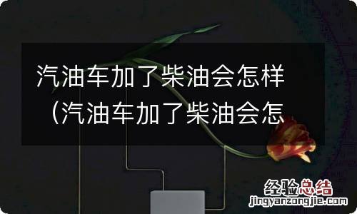 汽油车加了柴油会怎样呢 汽油车加了柴油会怎样