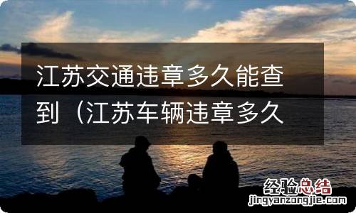 江苏车辆违章多久能查到 江苏交通违章多久能查到