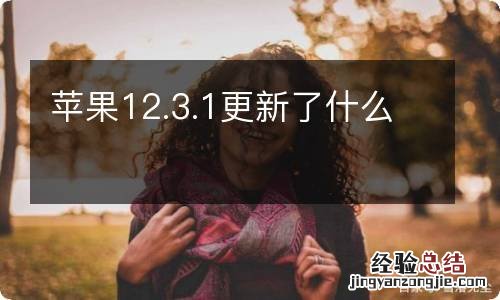 苹果12.3.1更新了什么