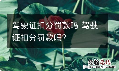 驾驶证扣分罚款吗 驾驶证扣分罚款吗?