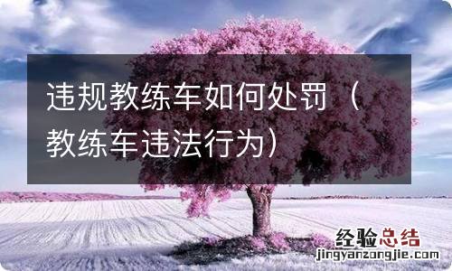 教练车违法行为 违规教练车如何处罚