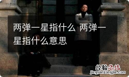 两弹一星指什么 两弹一星指什么意思