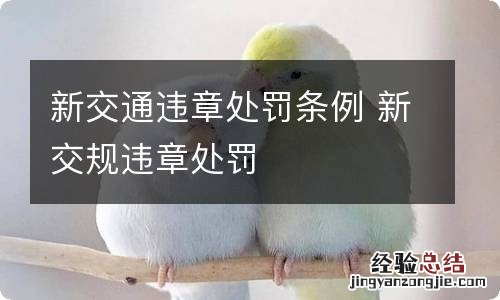 新交通违章处罚条例 新交规违章处罚