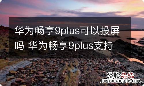 华为畅享9plus可以投屏吗 华为畅享9plus支持投屏吗