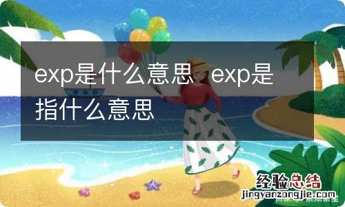 exp是什么意思exp是指什么意思