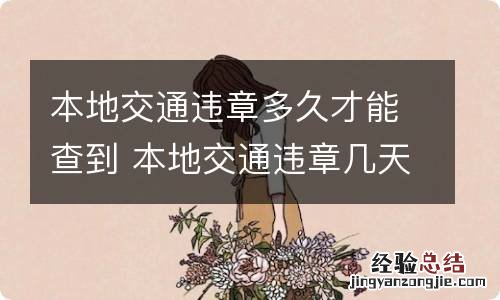 本地交通违章多久才能查到 本地交通违章几天能查到